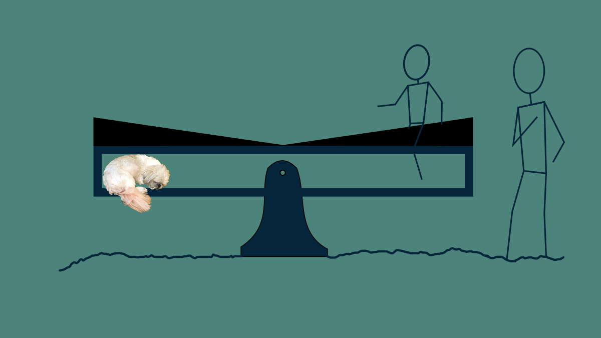 A seesaw with a dog sleeping on one end and one child sitting on itto balance it out. A sloped object on top encourages them to migrate toward the center.